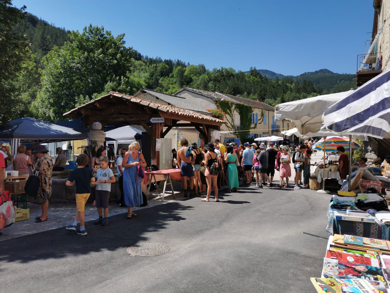 Vide Grenier Valdrôme