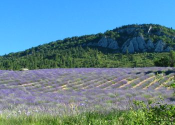 Valdrôme