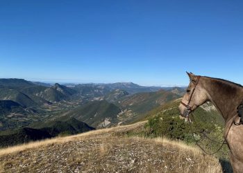 Equitation Valdrôme